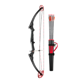 black recurve bow kit on a white background