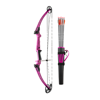 purple recurve bow kit on a white background