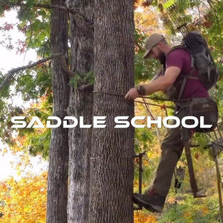 SADDLE SCHOOL